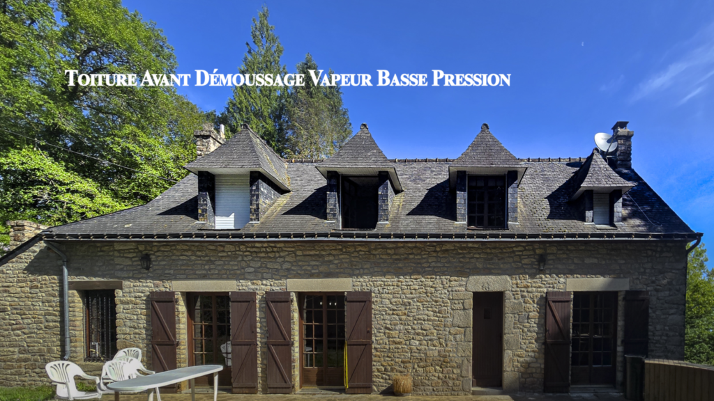 AVANT Nettoyage vapeur basse pression d'une toiture
