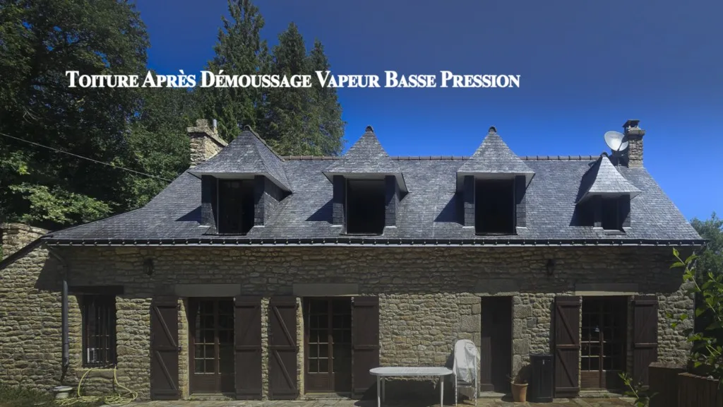 AVANT Nettoyage vapeur basse pression d'une toiture